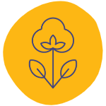 A yellow circle icon representing organic cotton products is shown with a navy blue drawing of an organic cotton plant in the center and a white background.